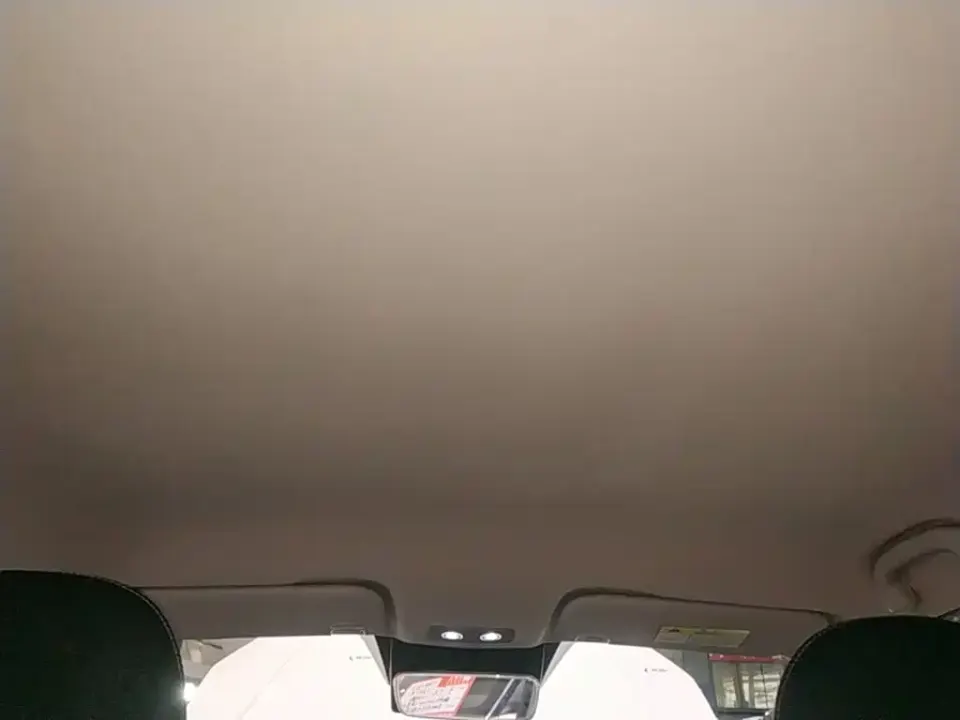 Neta Neta V