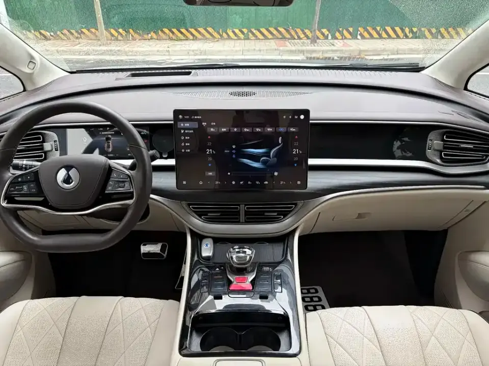 Denza Denza D9