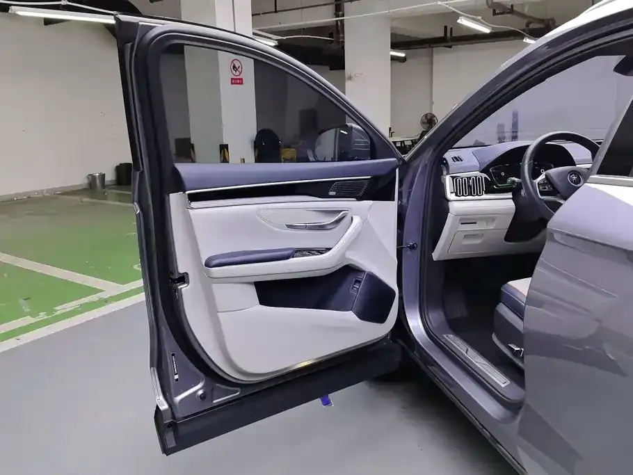 BYD PLUS New Energy