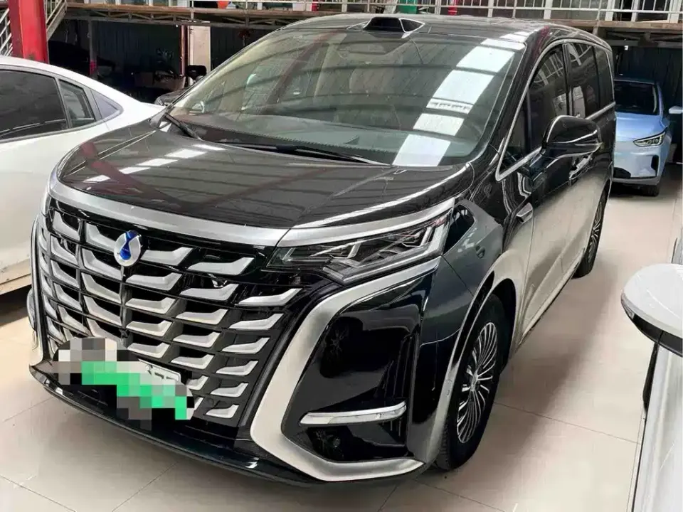 Denza Denza D9