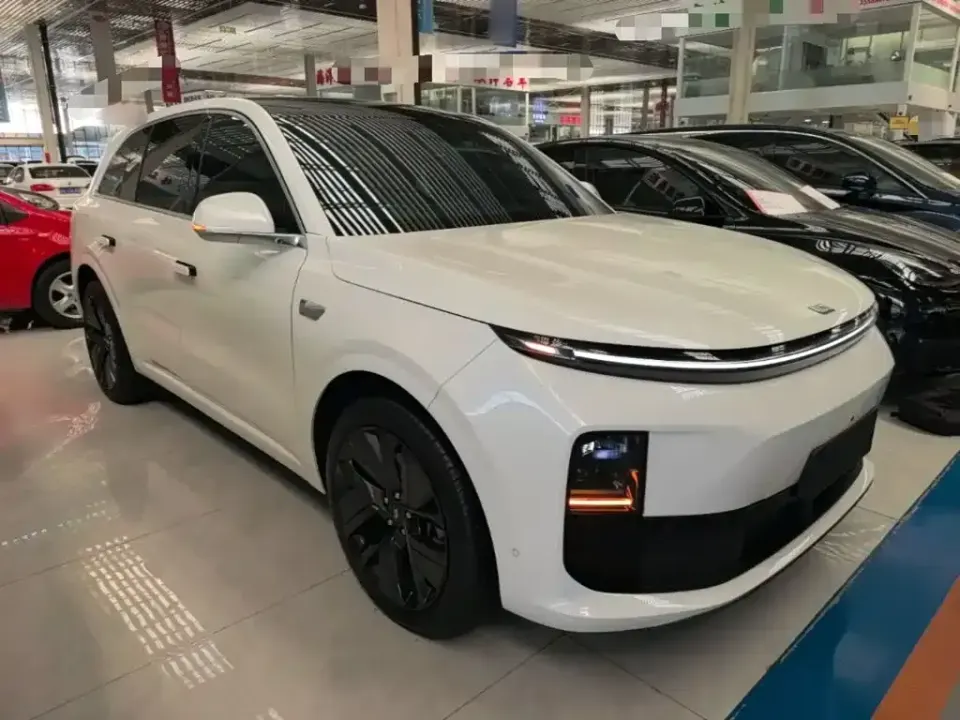 Li Li L6