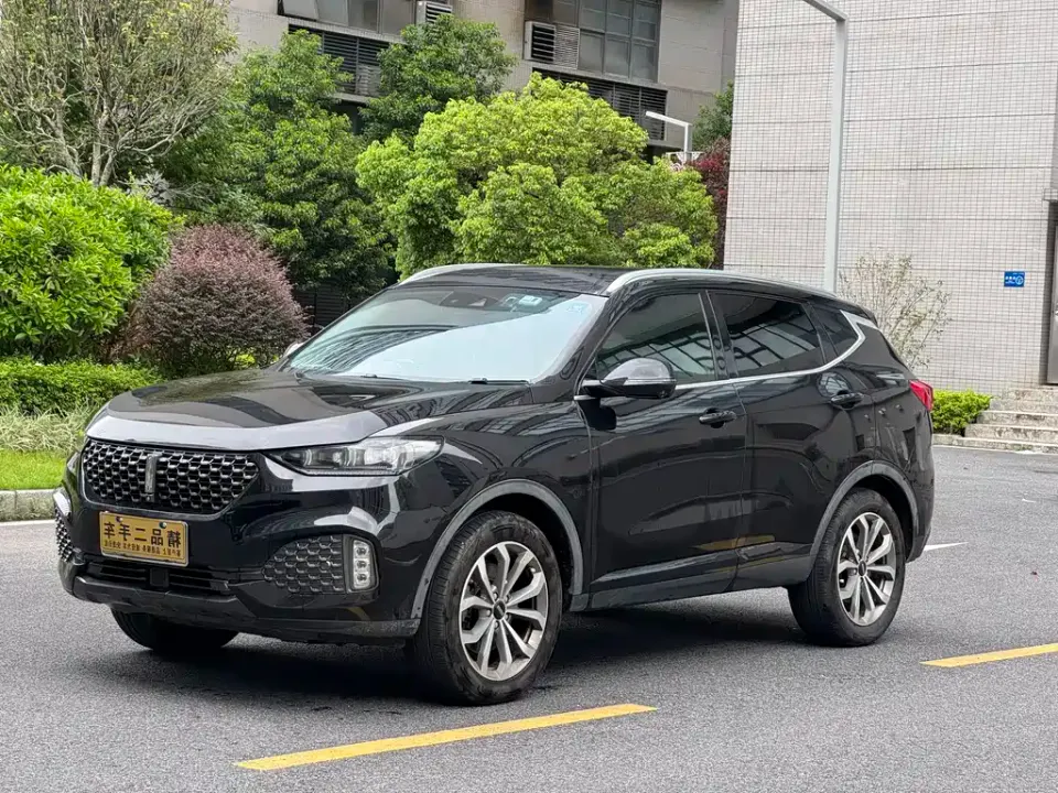WEY Wey VV6