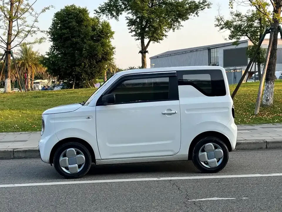Galaxy Panda