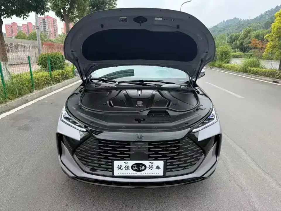 BYD Tang New Energy