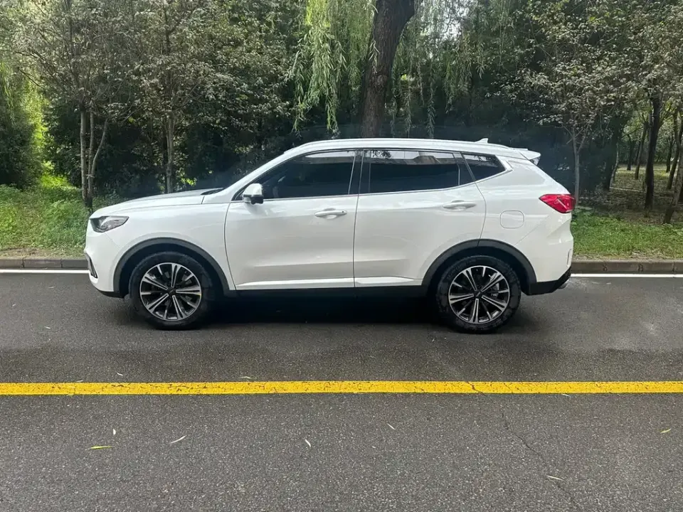 WEY Wey VV6