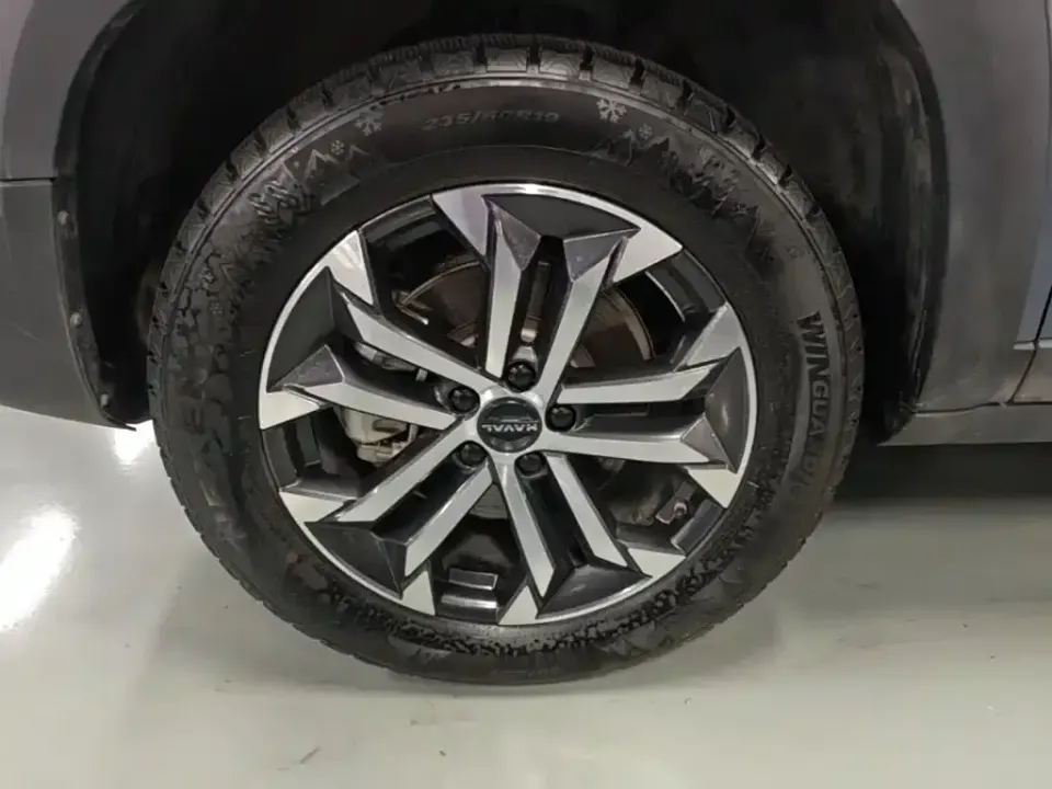 Haval Big Dog