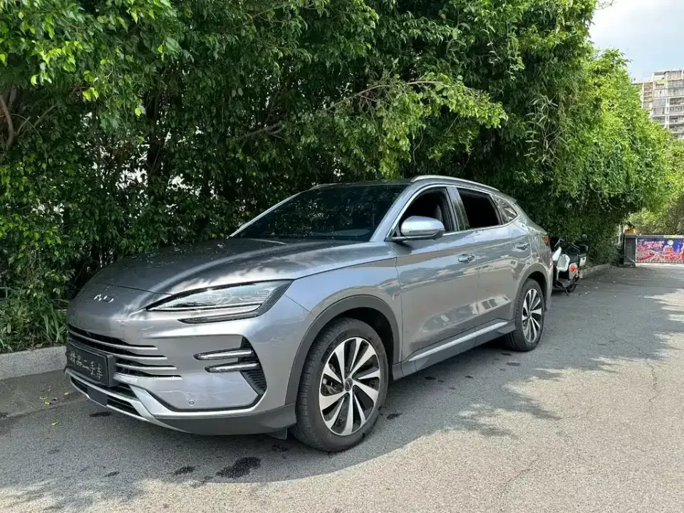 BYD PLUS New Energy