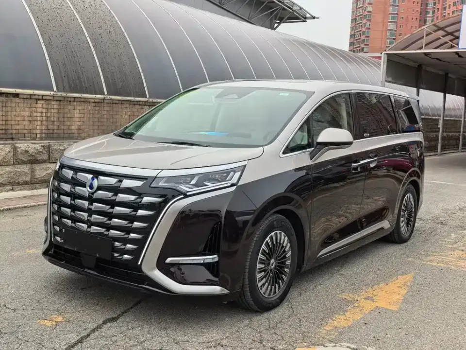 Denza Denza D9