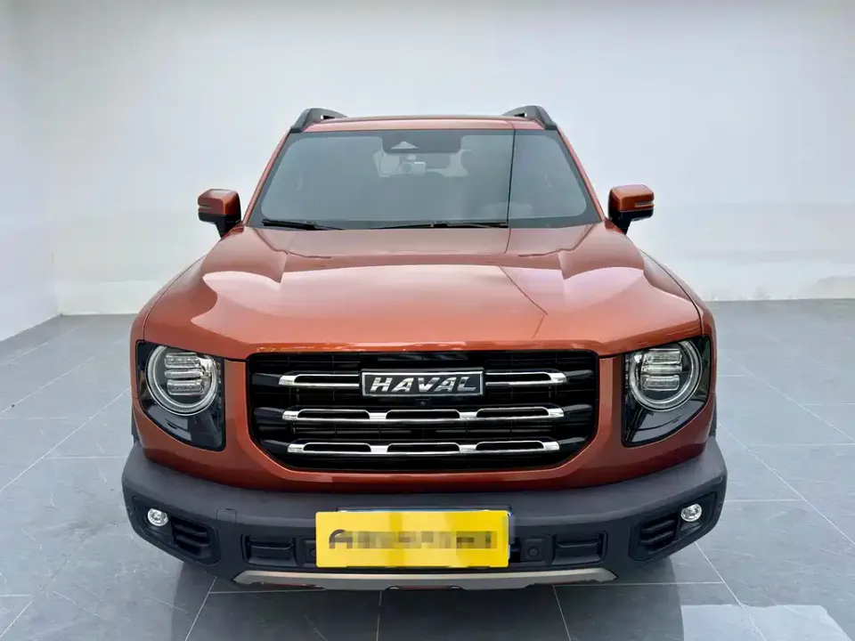 Haval Big Dog