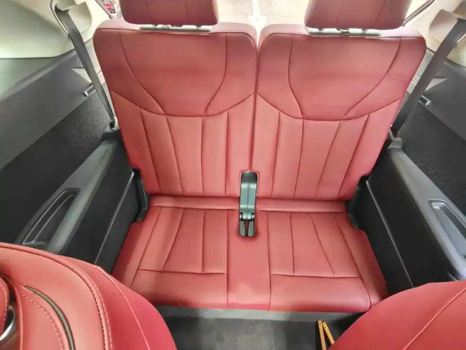 Hongqi Hongqi E-HS9