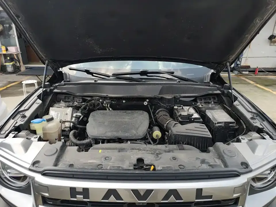 Haval Big Dog