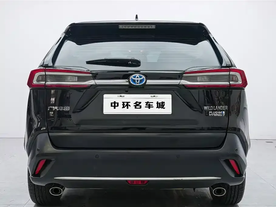 Toyota Wildlander New Energy