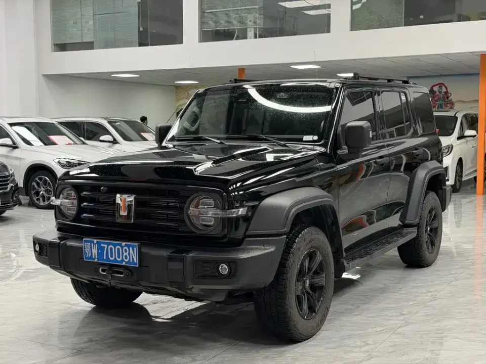 Tank 300