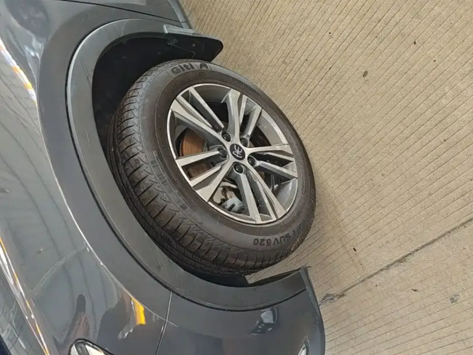 BYD Pro
