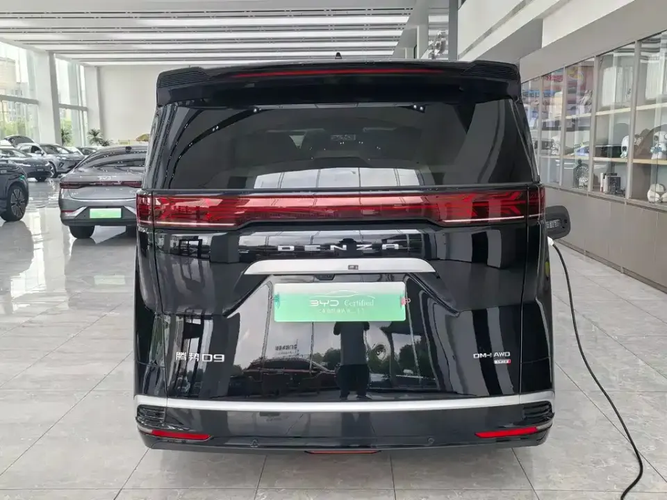 Denza Denza D9