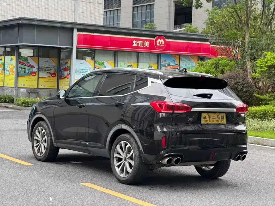 WEY Wey VV6