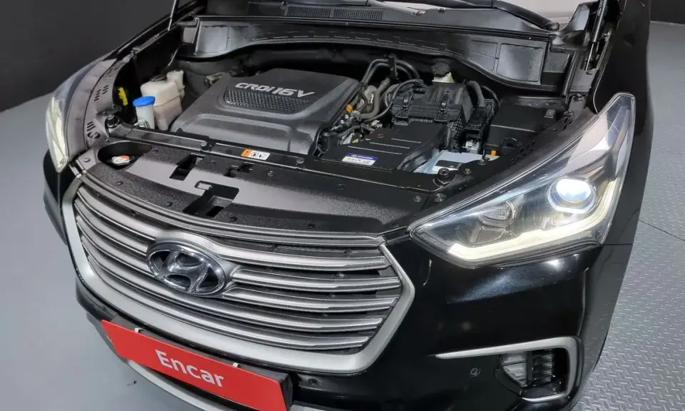 Hyundai Maxcruz