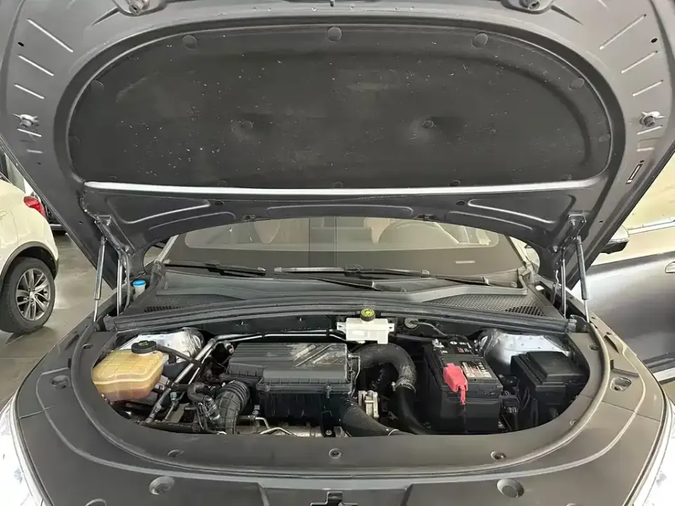 BYD PLUS