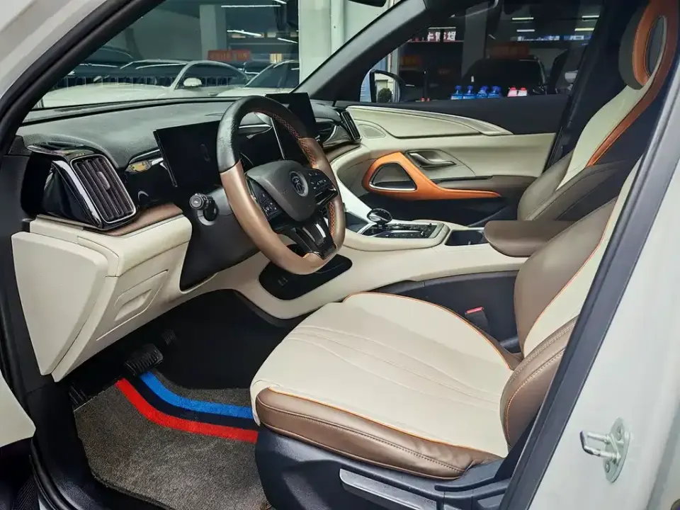 BYD Pro New Energy
