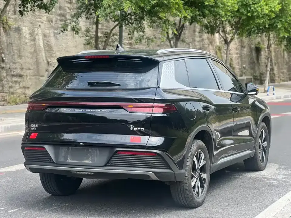 BYD Pro New Energy