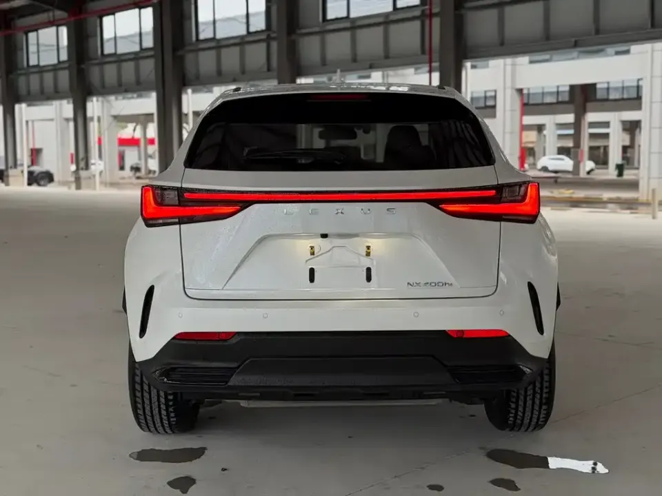Lexus NX New Energy