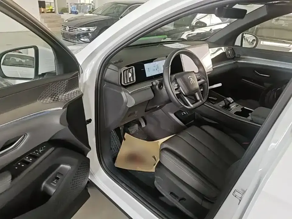 BYD Pro New Energy