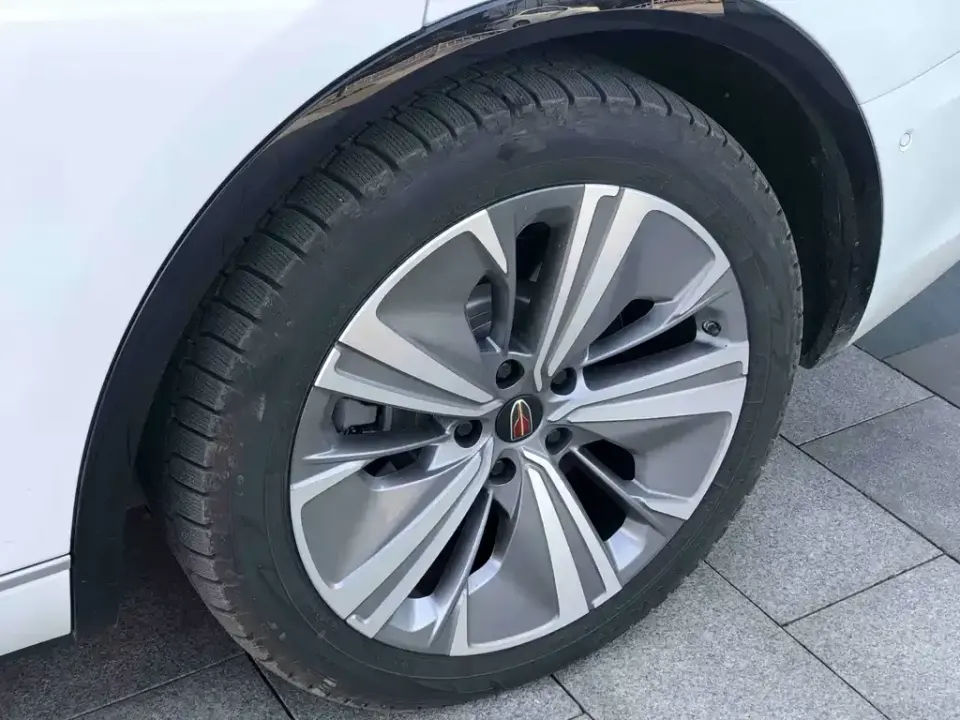 Hongqi Hongqi E-HS9