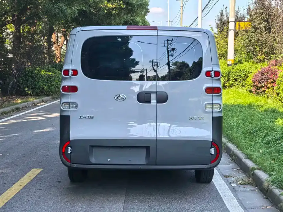 Maxus V1L