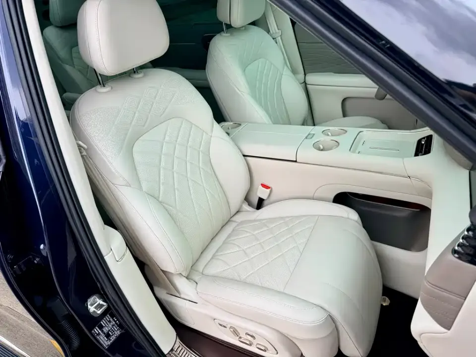 IM Motors IM LS9