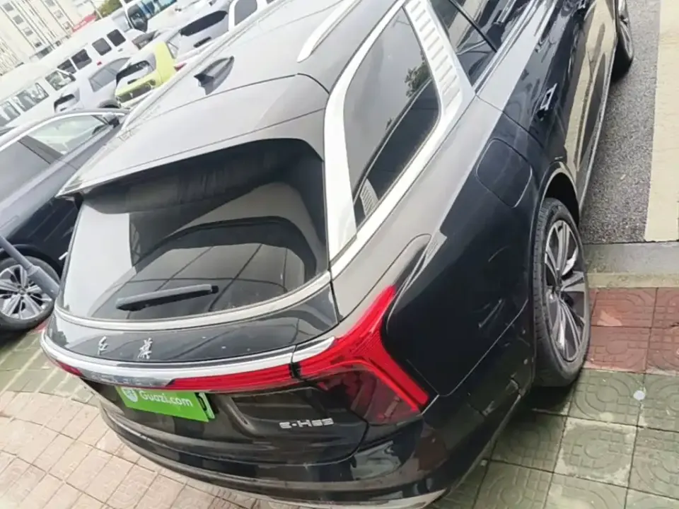 Hongqi Hongqi E-HS9