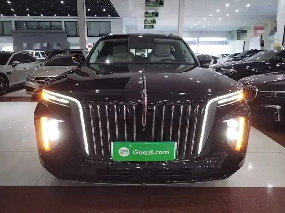 Hongqi Hongqi E-HS9