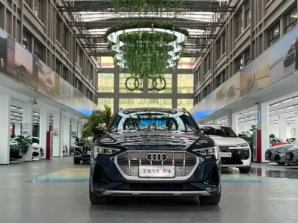 Audi e-tron (Import)