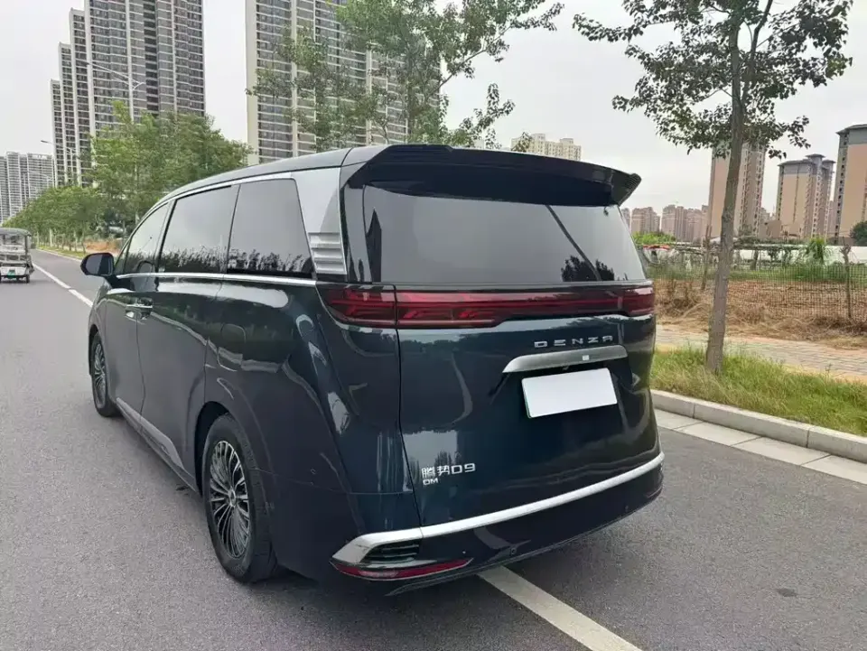 Denza Denza D9