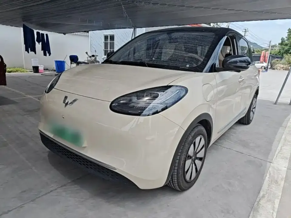 Wuling Bingo