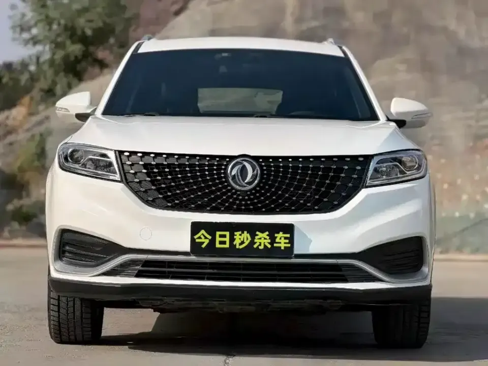 Fengguang Fengguang 580Pro