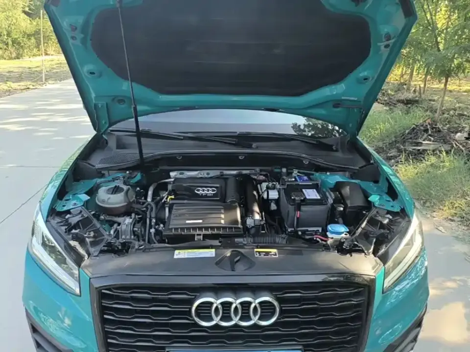 Audi Q2L
