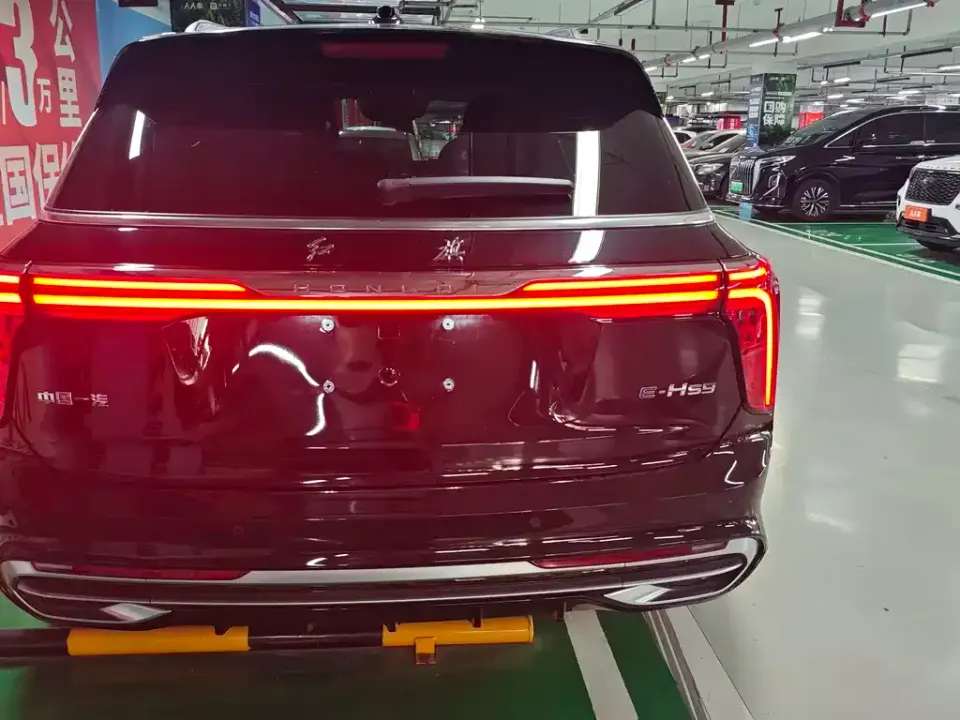 Hongqi Hongqi E-HS9