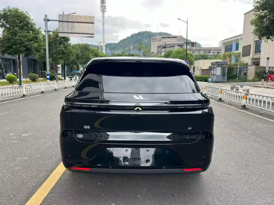 Li Li L6