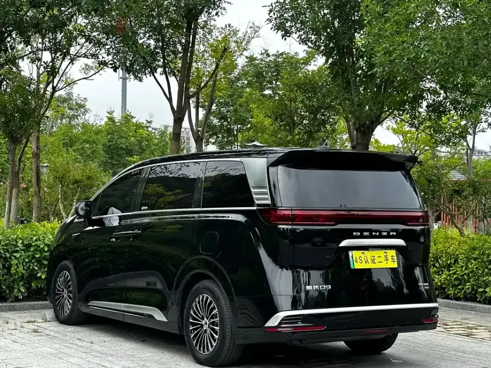 Denza Denza D9
