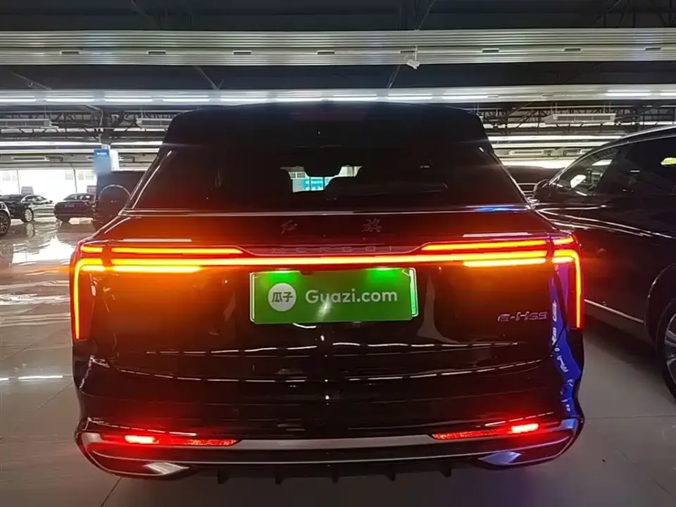 Hongqi Hongqi E-HS9