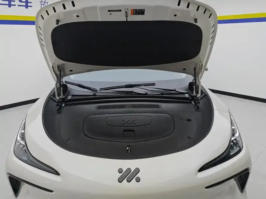 IM Motors IM LS6