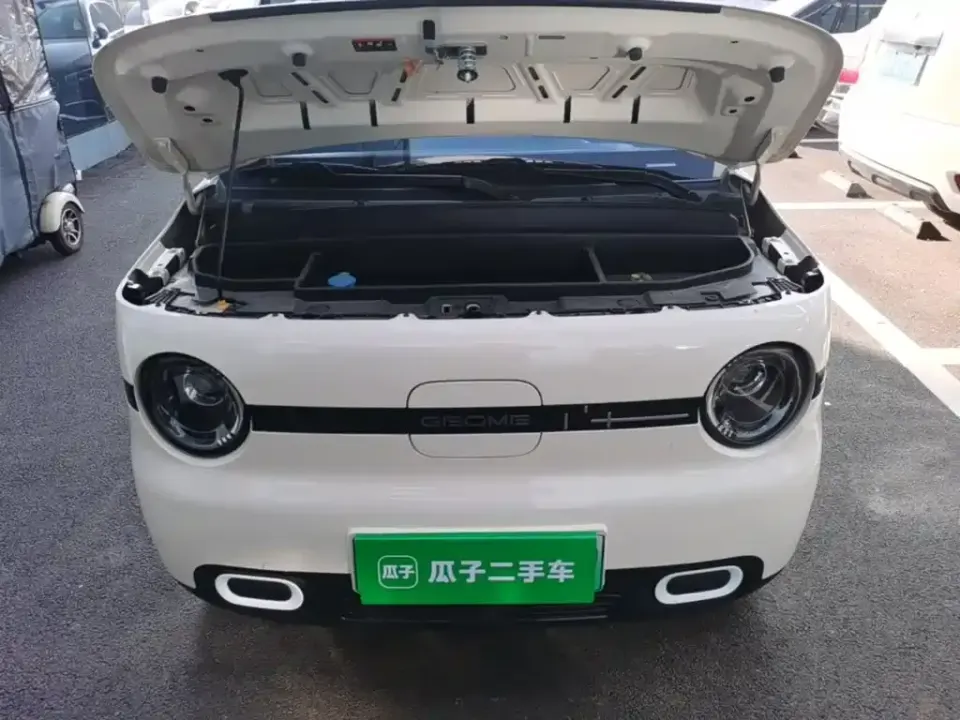 Galaxy Panda