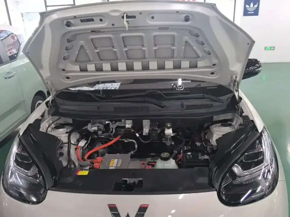 Wuling Bingo