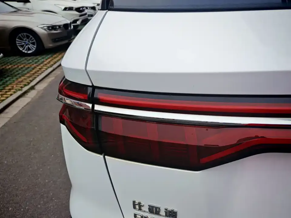 BYD Pro New Energy