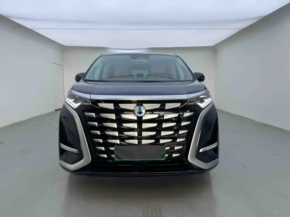Denza Denza D9