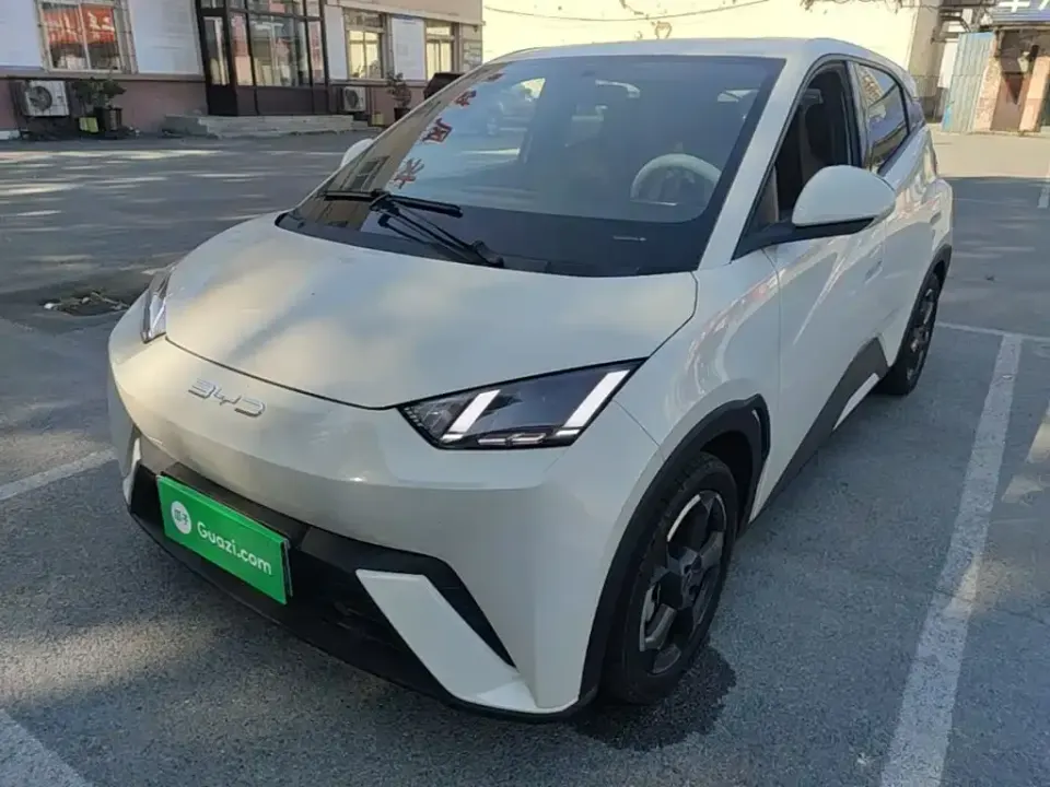 BYD Seagull
