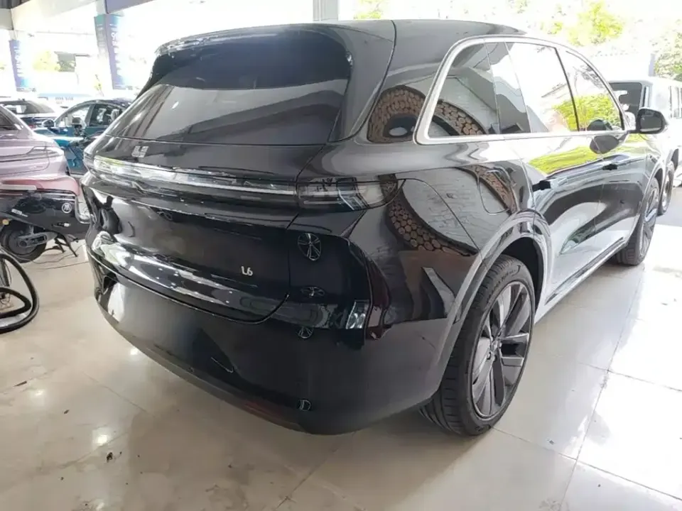 Li Li L6