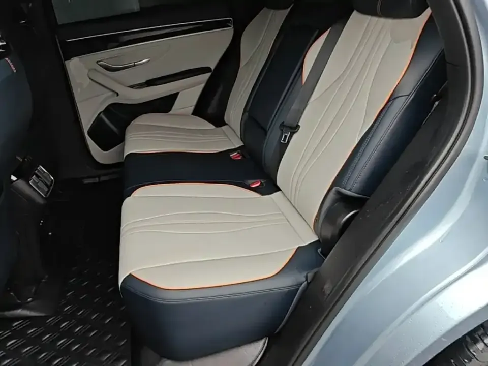 BYD PLUS New Energy