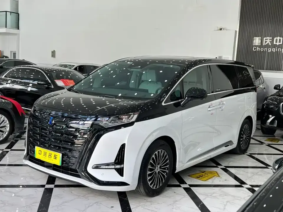 Denza Denza D9