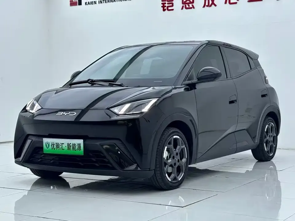 BYD Seagull